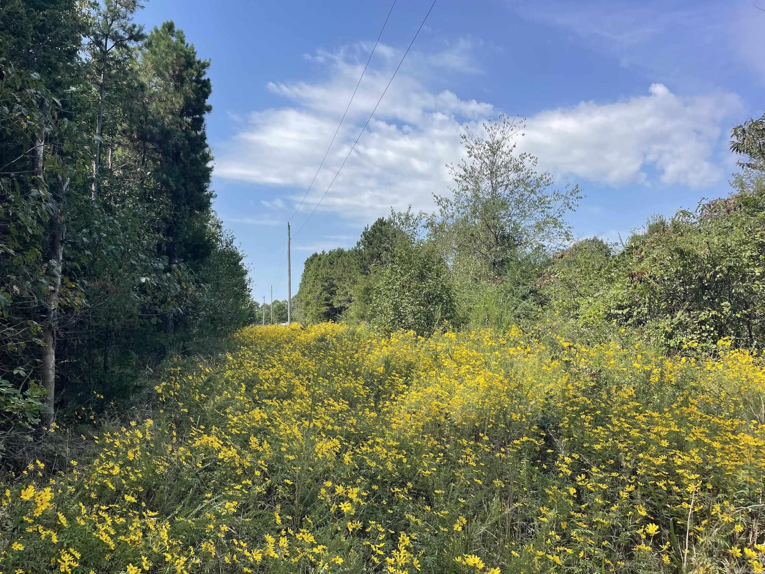 Not in Subdivision - Land