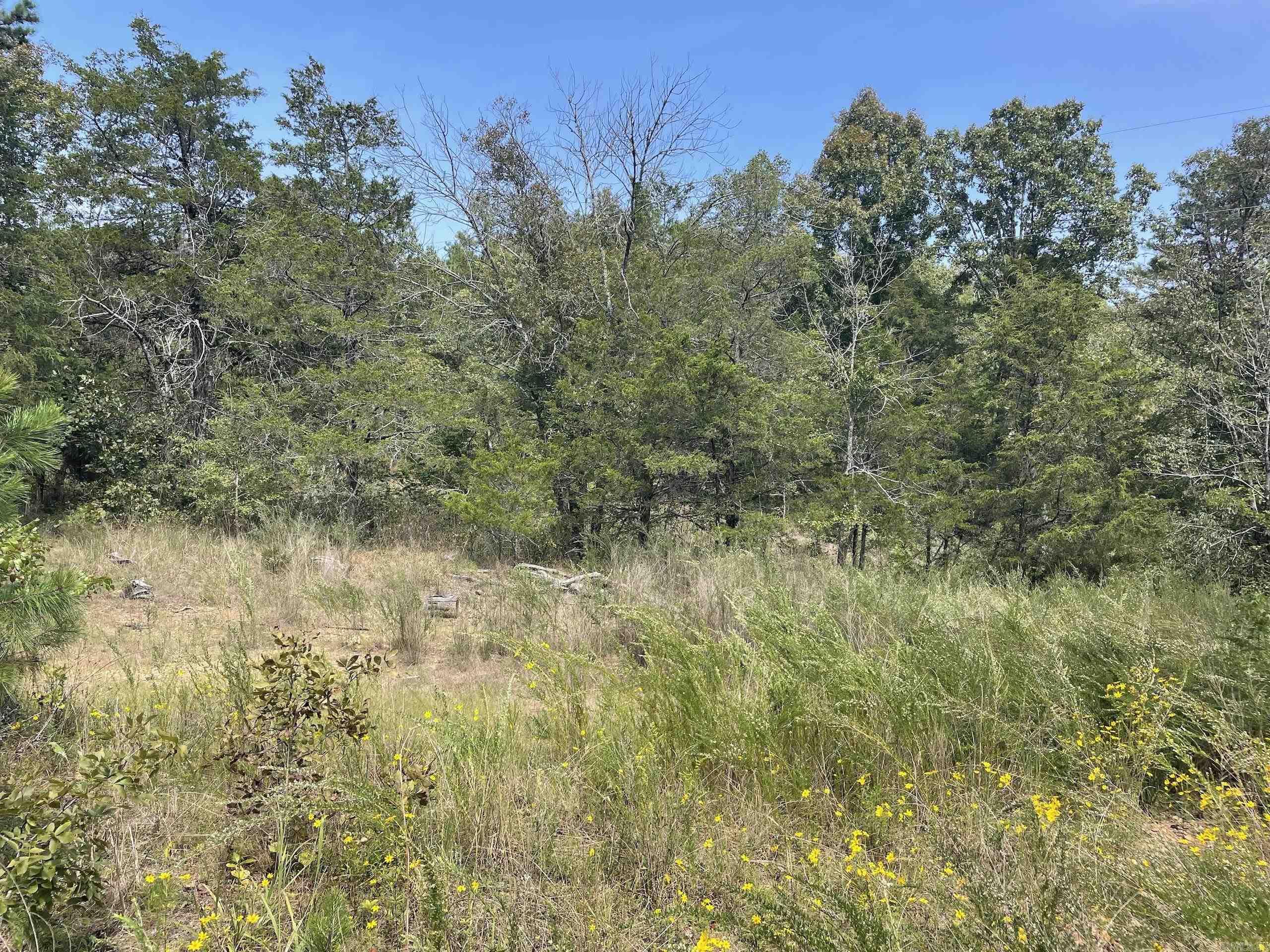 Not in Subdivision - Land