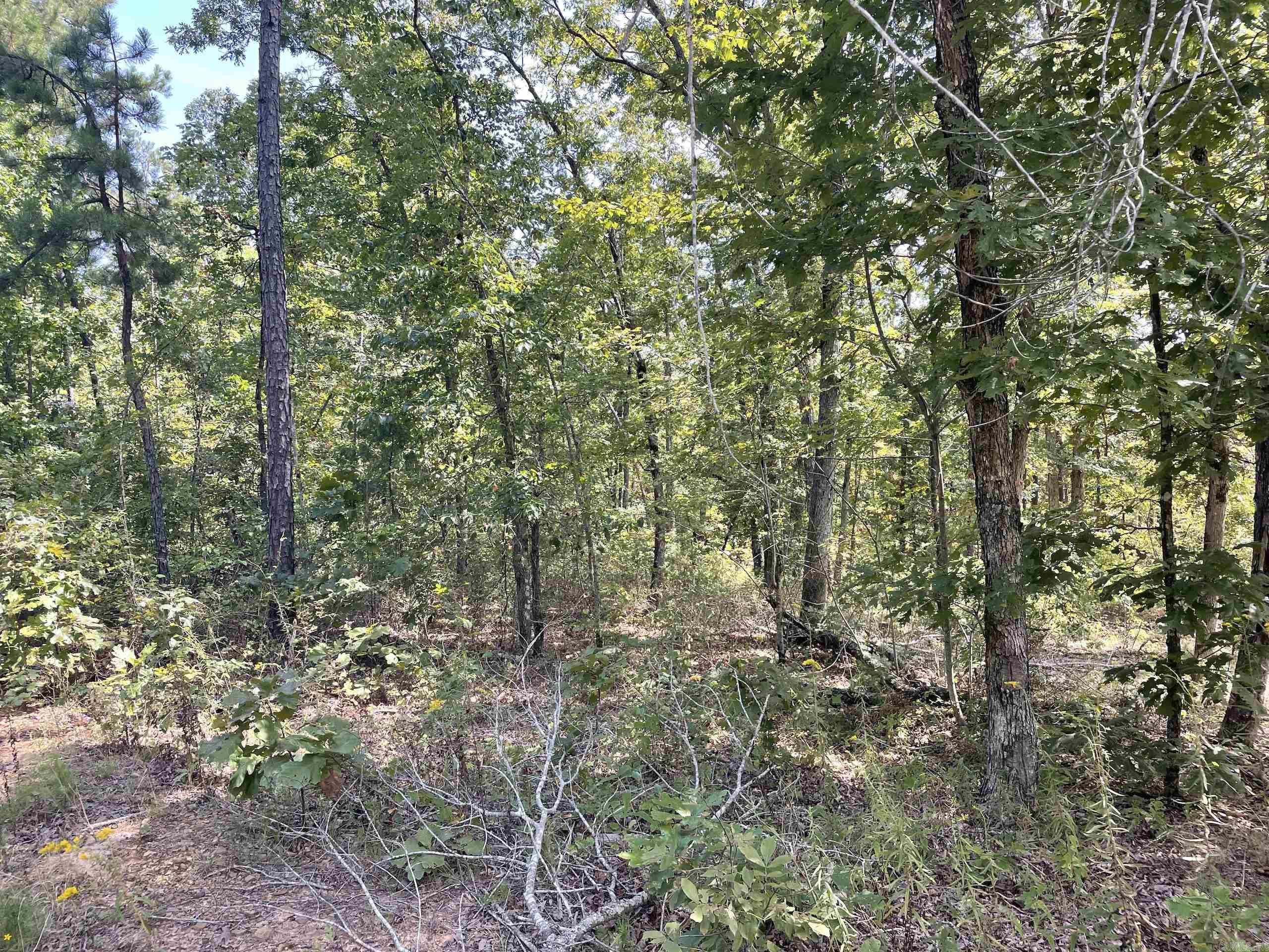 Not in Subdivision - Land