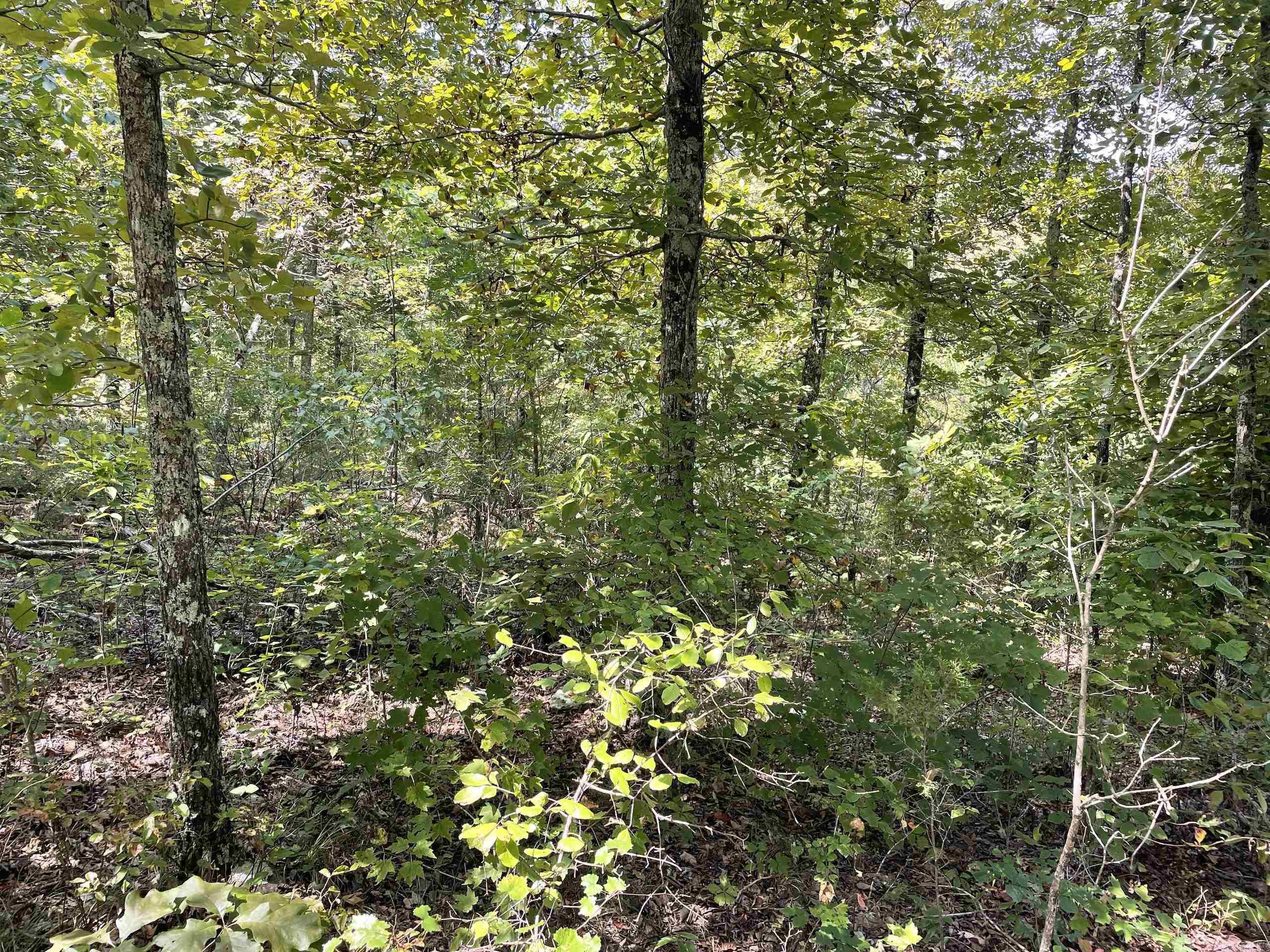 Not in Subdivision - Land