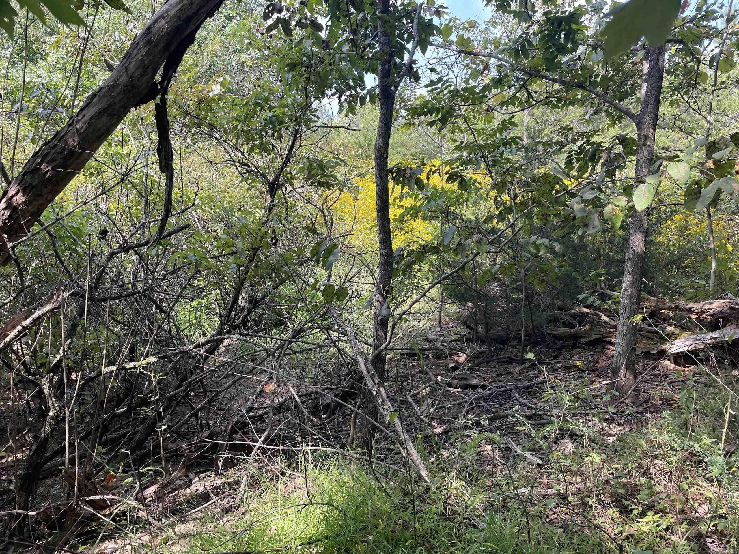 Not in Subdivision - Land