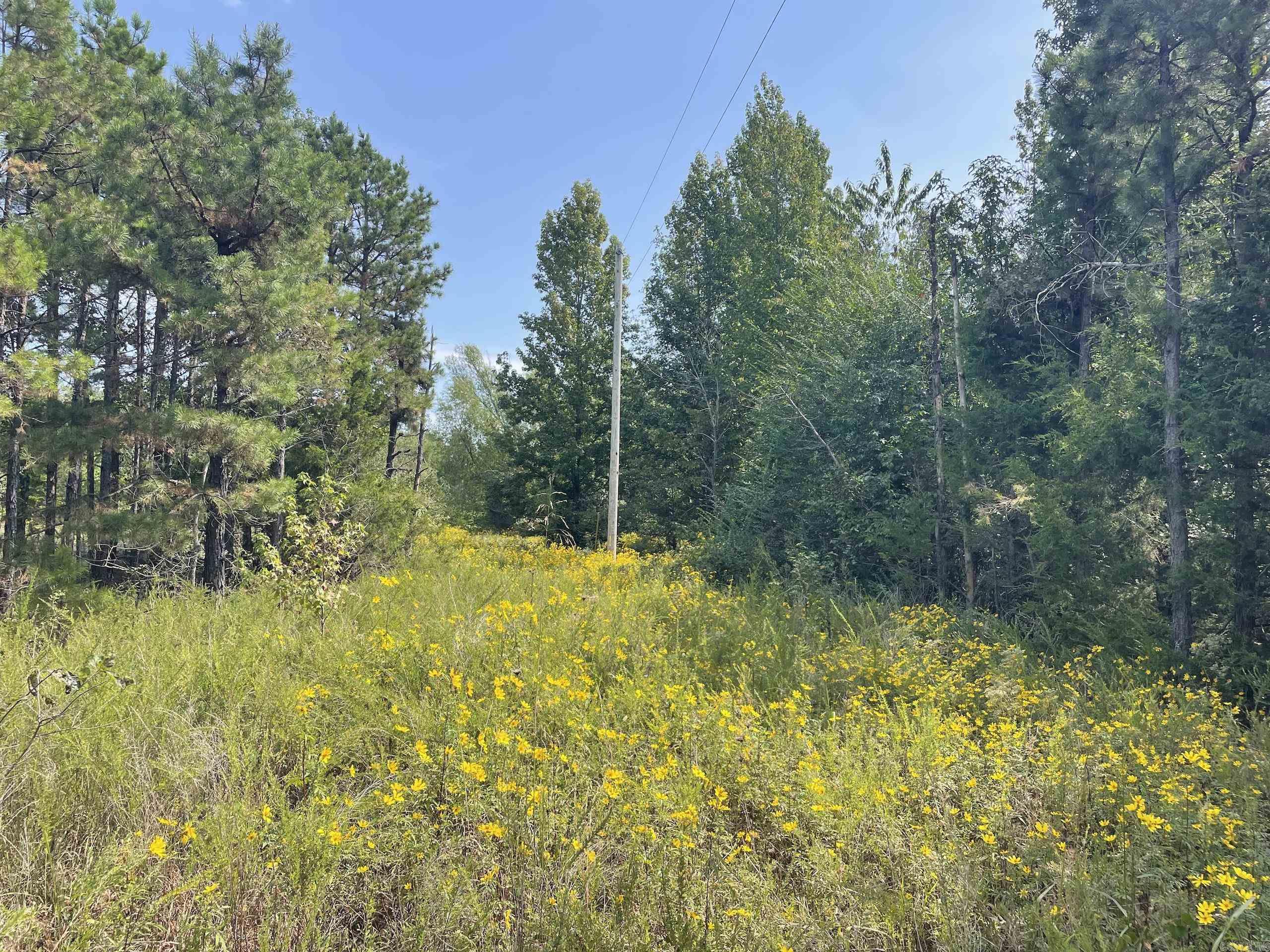 Not in Subdivision - Land