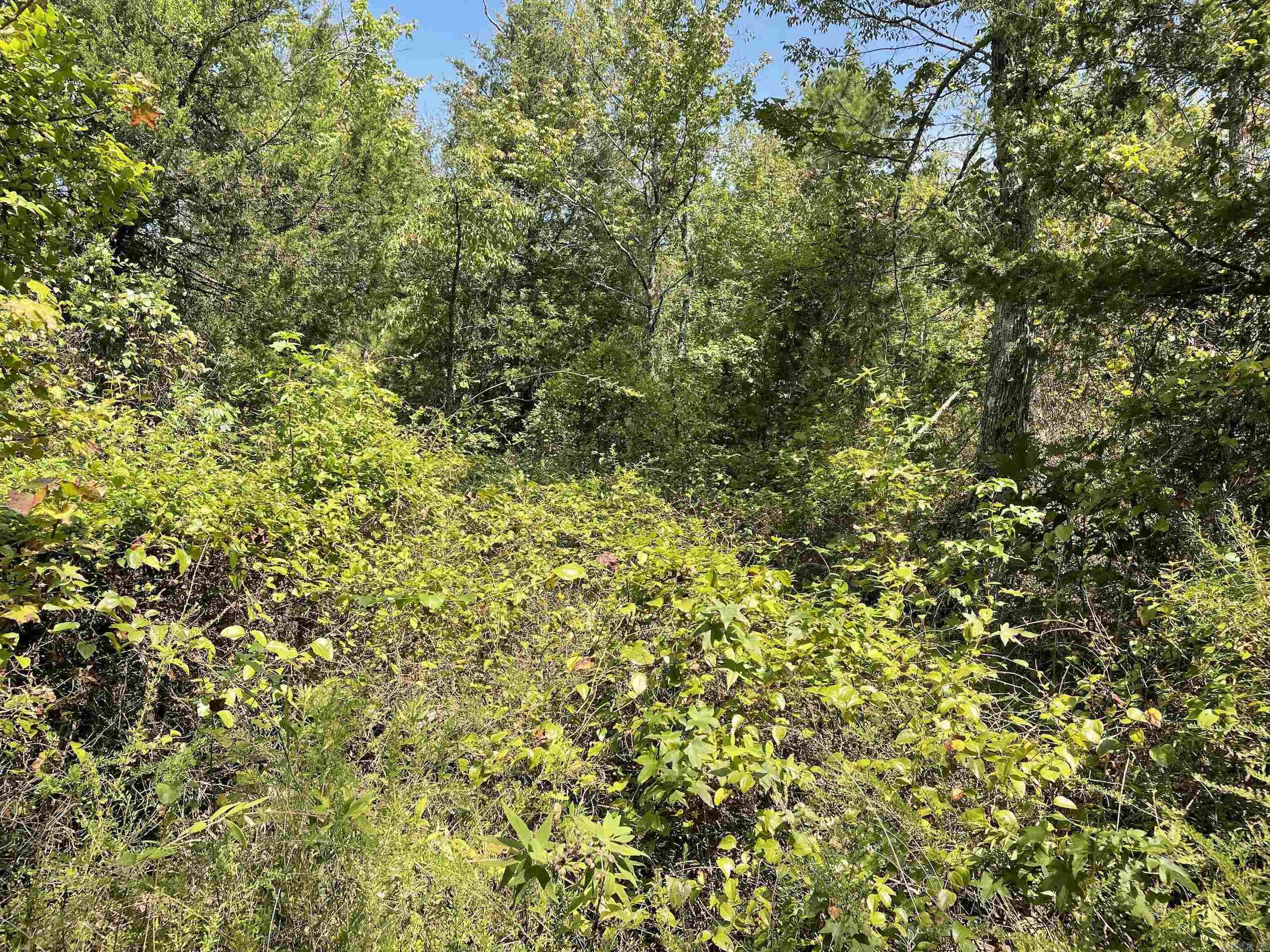 Not in Subdivision - Land