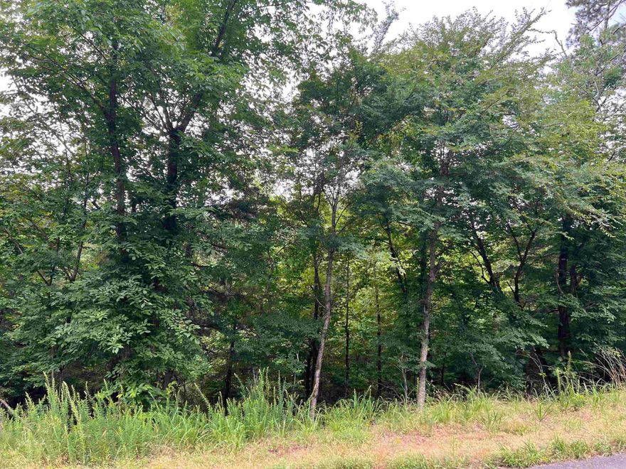 Beautiful land in Hot Springs Village ready for you to build on. This lot is in a quiet secluded spot. Be ready for all the animals to wander through your yard!