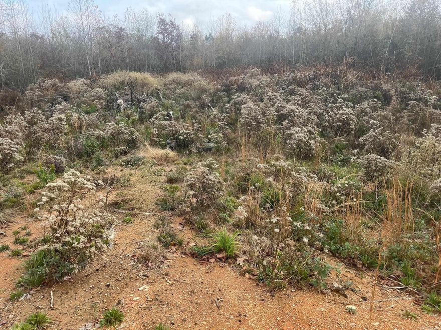 New lots in Creekside Subdivision. Best location in Bryant. Mostly cleared and ready to build. Plat and Bill of Assurance in docs. New street, address will not GPS. Use 6150 Creekwater, Alexander, AR.