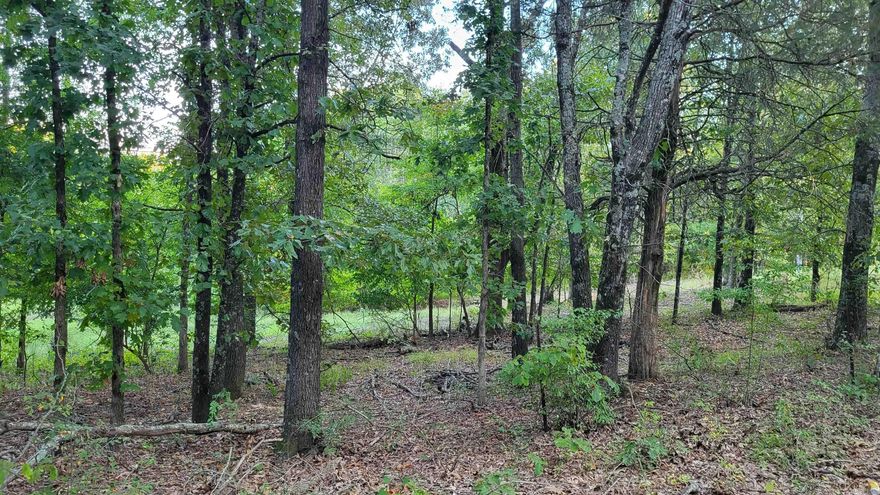 Looking for a spot to build a home and not be right up against your neighbors? This 5 acre parcel would give you plenty of elbow room and would make a great home site with wooded and pasture land. Call today!