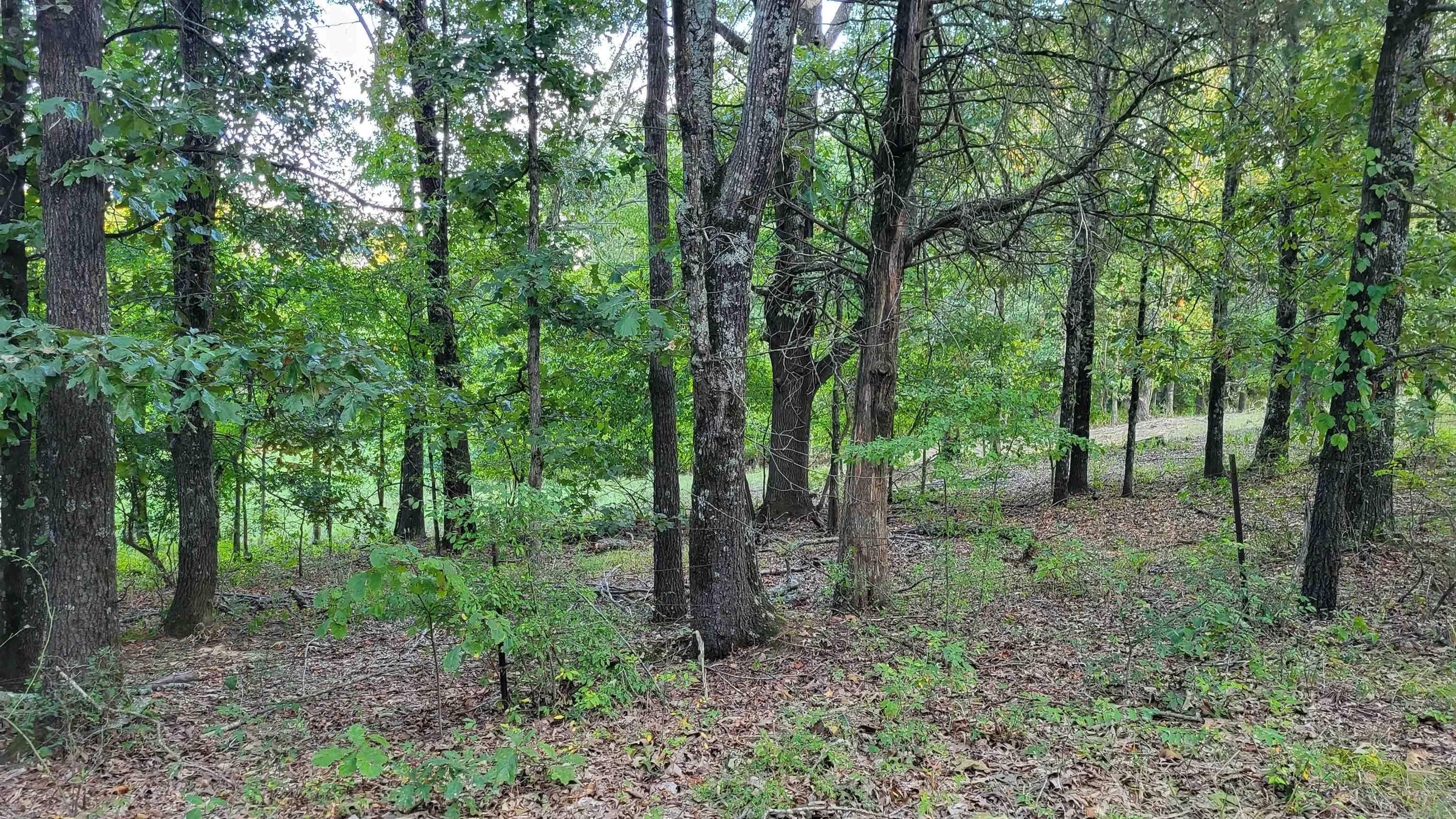 Not in Subdivision - Land