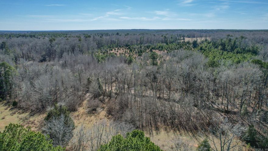 Great hunting and recreational tract with water and electric available. The property has a small pond and a flowing creek. The creek is lined with hardwoods, and there are pines growing on the back side of the property. Would make a great place to build out in the country, or a great hunting and getaway place. Don’t miss out, call today!