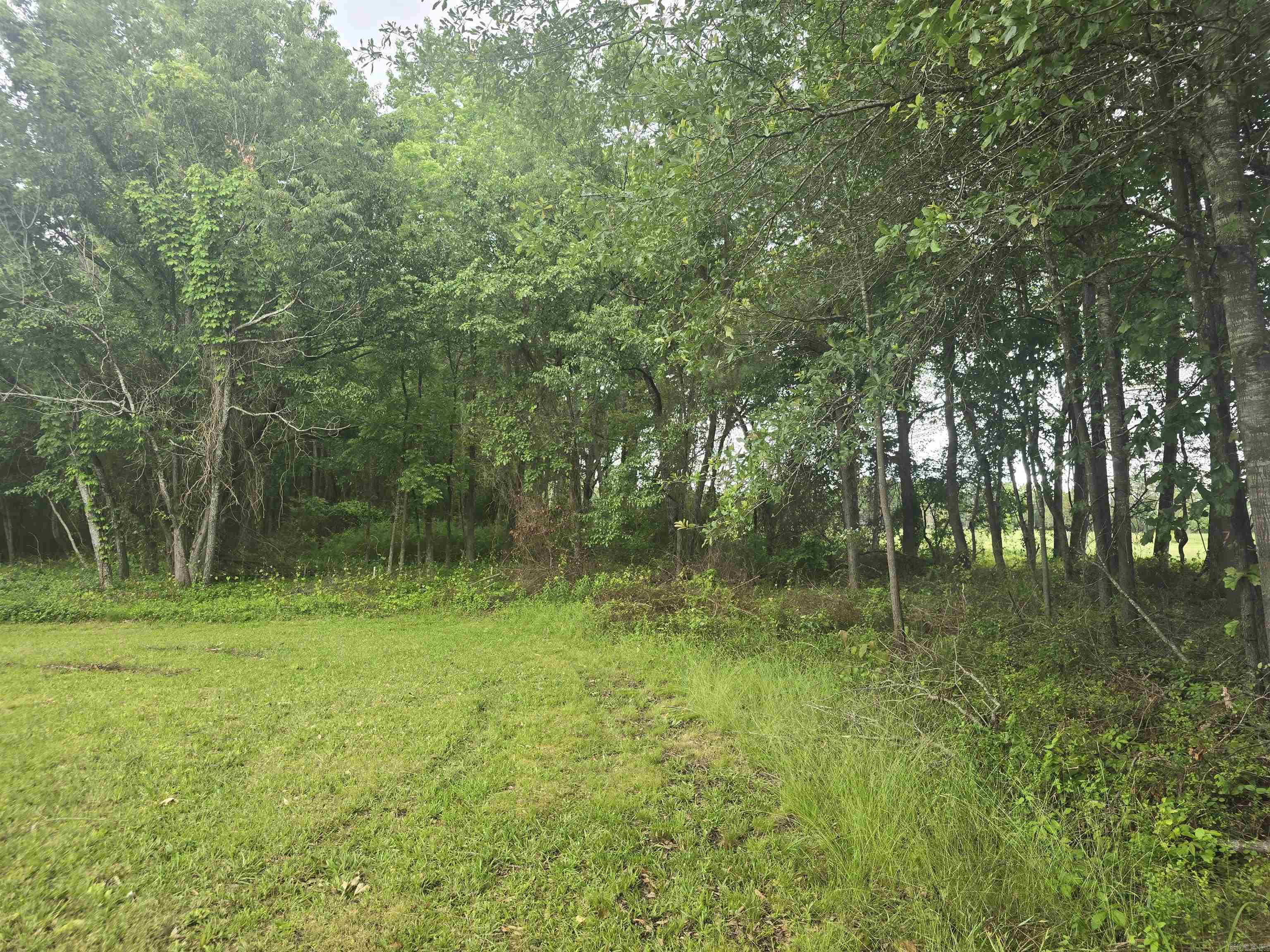 Campbell Frank - Land