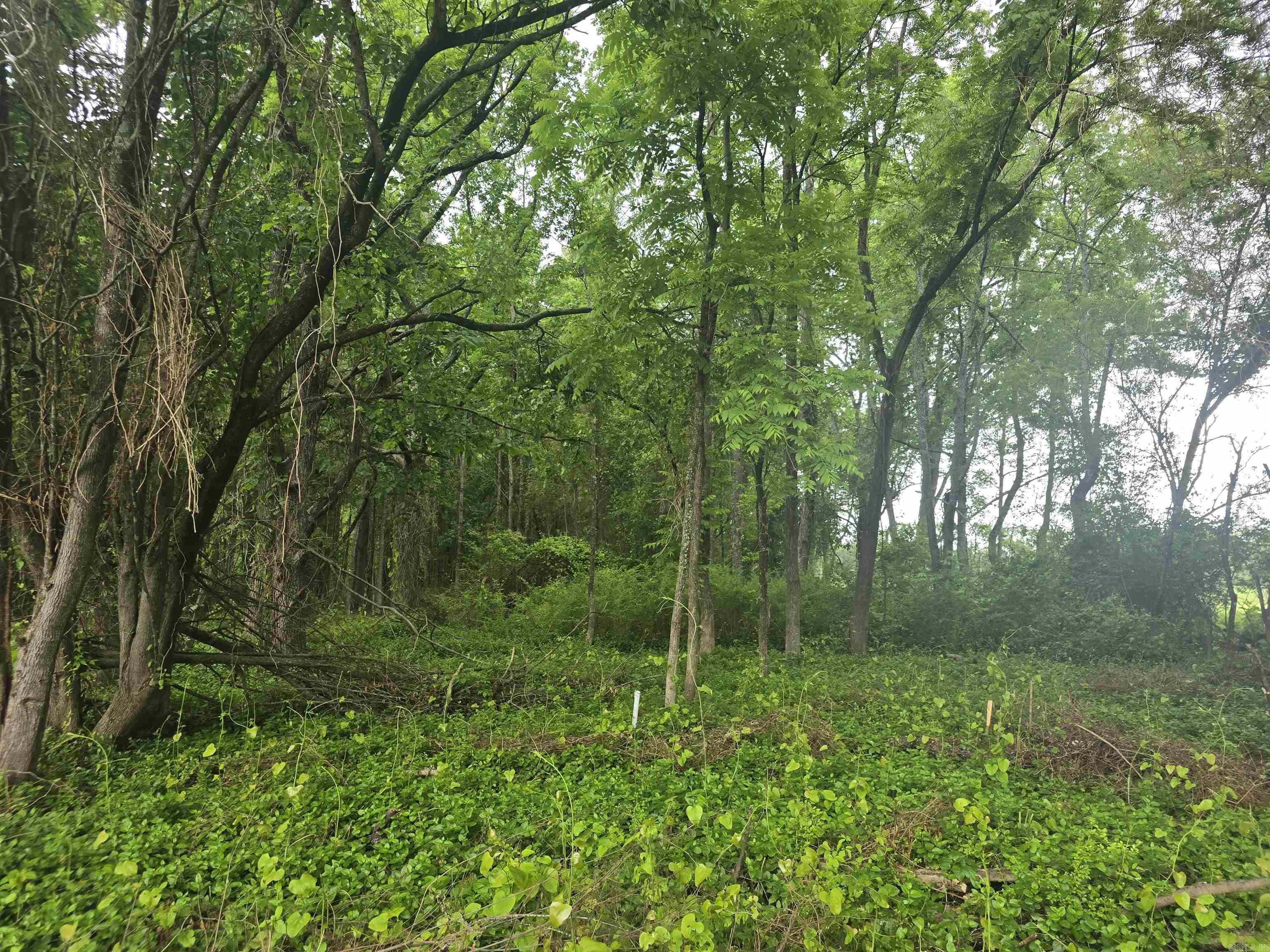 You have found the perfect spot for your dream home! This 1.73-acre vacant lot offers a prime location with easy access to the freeway, making commutes effortless. Nestled close to parks, you'll enjoy the beauty of nature and recreational activities just minutes away. Whether you're looking for a serene retreat or a convenient hub, this property delivers both. Don't miss out on this rare opportunity to build your future in a perfect location!