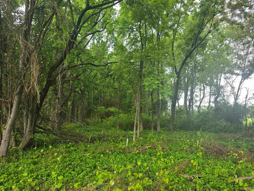 You have found the perfect spot for your dream home! This 1.73-acre vacant lot offers a prime location with easy access to the freeway, making commutes effortless. Nestled close to parks, you'll enjoy the beauty of nature and recreational activities just minutes away. Whether you're looking for a serene retreat or a convenient hub, this property delivers both. Don't miss out on this rare opportunity to build your future in a perfect location!