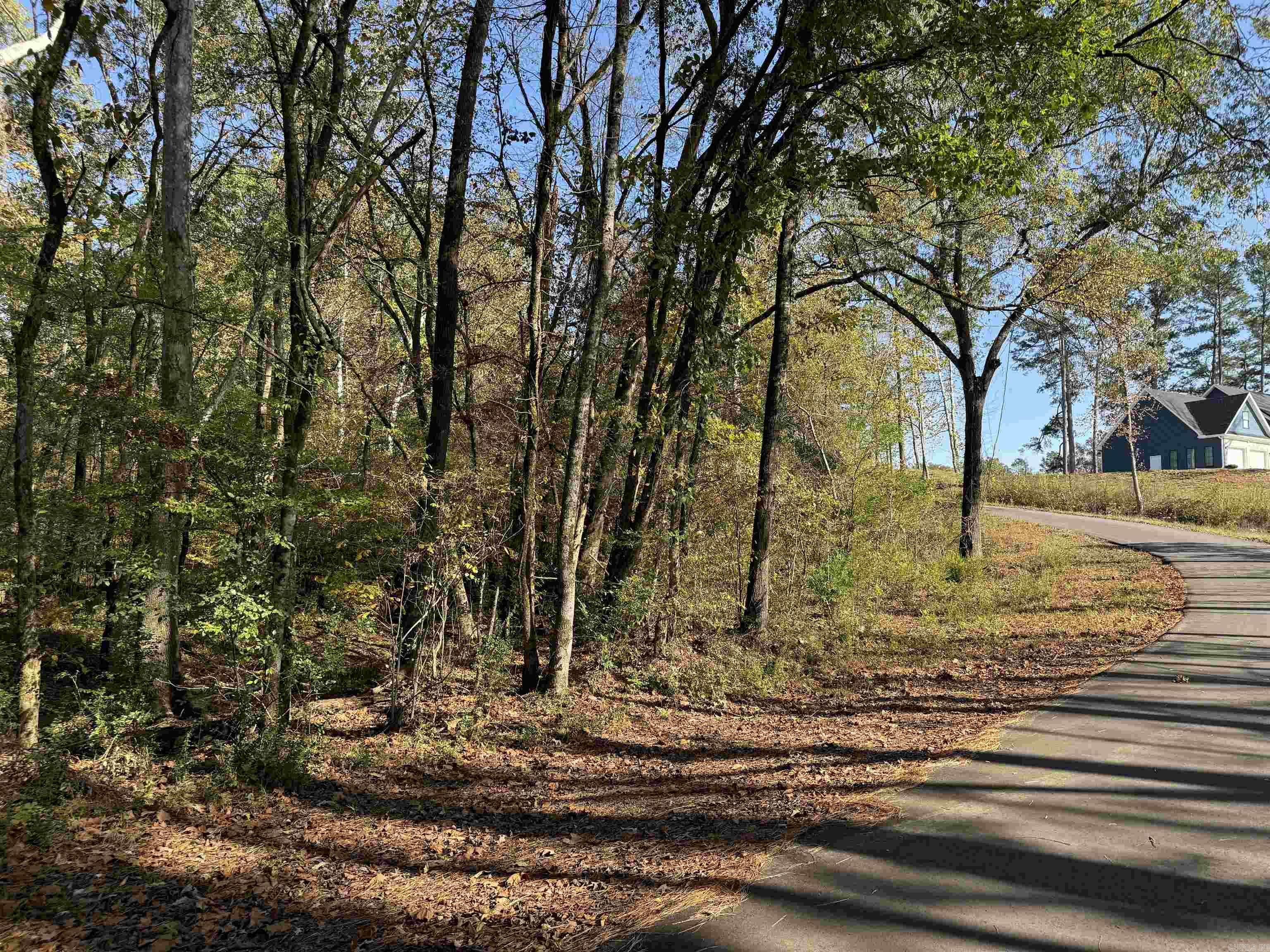 Picture Perfect Views.... A rare find and very unique property.. This property is located close and convenient to all area amenities. Great Building site that overlooks a beautiful creek .You have a 3.6 acre tract that sits on the corner of Mulberry Salem and McGee Road. This property boasts beautiful, wooded, natural views of a picture perfect creek view.. Perfect for your custom home.. A Must See... Call for details.