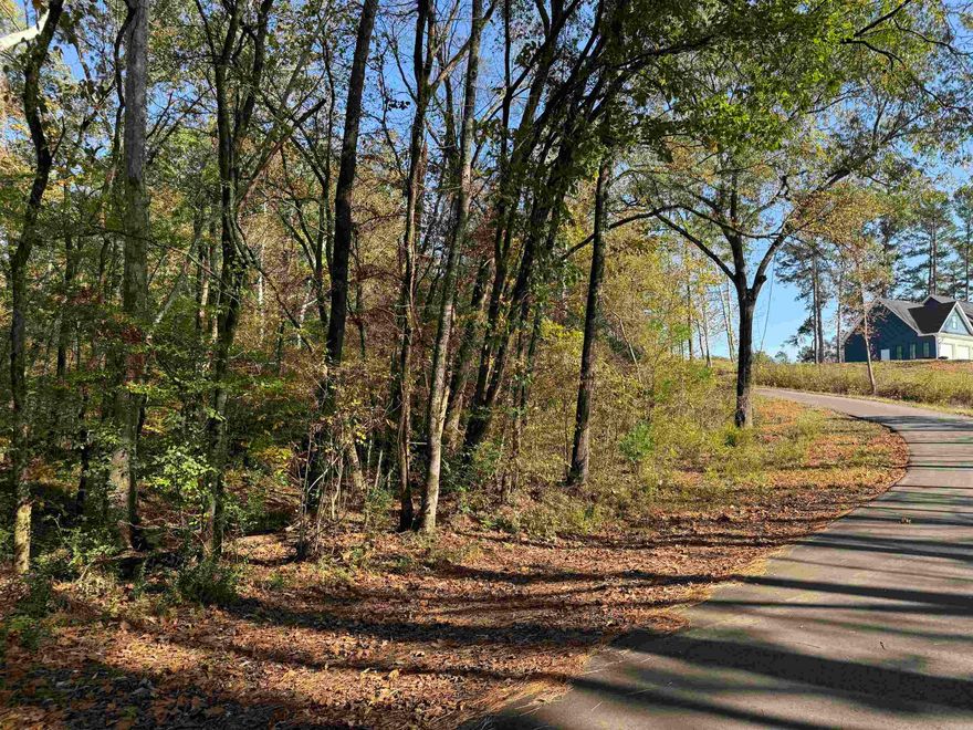 Picture Perfect Views.... A rare find and very unique property.. This property is located close and convenient to all area amenities. Great Building site that overlooks a beautiful creek .You have a 2.18 acre tract that sits on the corner of Mulberry Salem and McGee Road. This property boasts beautiful, wooded, natural views of a picture perfect creek view.. Perfect for your custom home.. A Must See... Call for details.