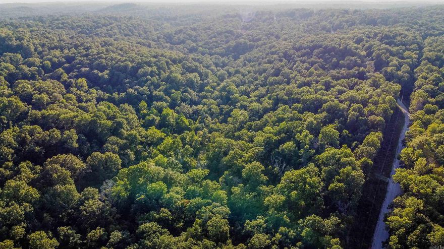 Owner Finance Available! Welcome yourself to this secluded 1.05-acre double lot, with a stellar central location. No restrictions and mobiles allowed! If you input 407 Co Rd 989 Mountain Home in your phone map, you'll come to the road leading back to your wooded lot, offering that privacy and comfort you're looking for. Whether it's parking your RV-camper for that weekend Norfolk Lake getaway or even your future cabin for the family this lot will not disappoint. Both marinas are located only 7 minutes going either way to drop your boat in, or no-boat no-worry just hit up Blackburn's Boat Rental 0.25 mile up the road. Buyer to verify acreage.