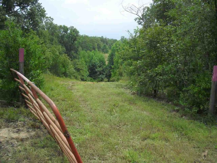 Beautiful area to build or put mobile, very private, no restrictions, Mobile home was there at one time.  The 50 acres is down the drive and to the right.  The road frontage is not part of the 50 acres.