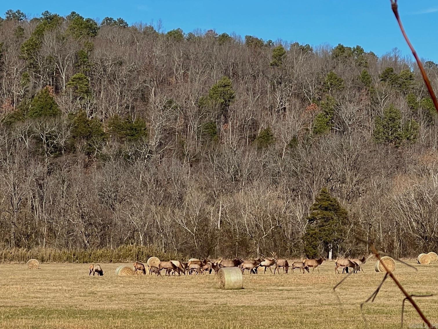 Metes & Bounds - Farm