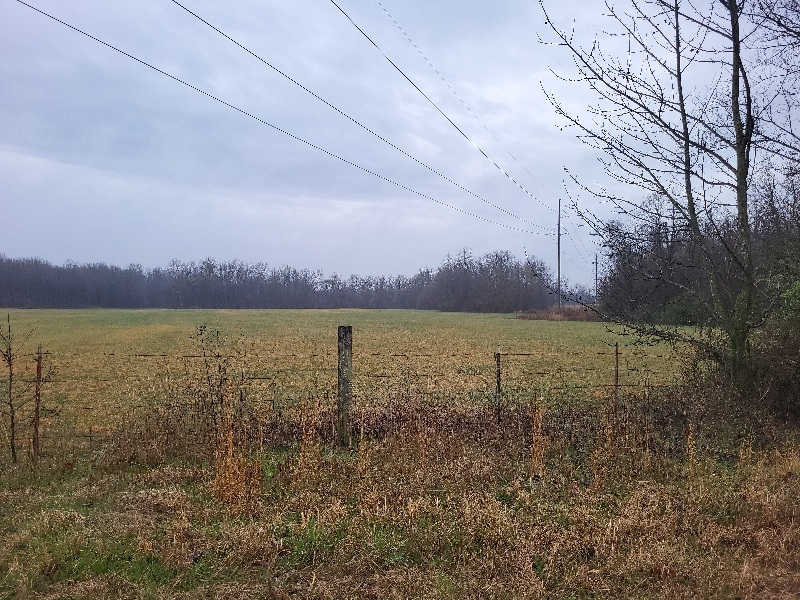 62.41 Acre Homestead Property with Row Crop, Pasture, Woods, Creeks, and Pond This 69.41 acres has all you need, rowcrop, possible pasture, woods, creeks and a pond. This is all on the same property close to town preoperty has lots of possibilities. Mostly flat with some rolling hills. This would make agreat homestead property it has so much to offer. proprty does not have utitlties but utlilites are avaliable. Back 40 has been farmed and could be farmed again with some TLC. Description: Discover the potential of this expansive 69.41-acre property, offering a diverse landscape of row crop fields, potential pasture land, wooded areas, creeks, and a tranquil pond. Conveniently located close to town, this property presents numerous possibilities for agricultural use or as an ideal homestead. Enjoy mostly flat terrain with some gentle rolling hills, providing a picturesque setting for your dream estate. Although utilities are not currently installed, they are available for easy connection. The back 40 acres have previously been farmed and could be revitalized with some tender loving care (TLC). Don't miss out on this opportunity to own a versatile property with endless opportunities