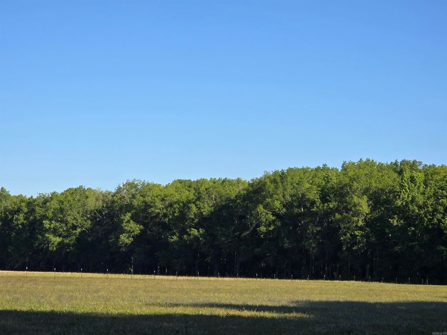 This 40 wooded acre property would make the perfect secluded and peaceful place to build you new home or an amazing place to have for hunting. It is full of mature hardwoods and currently has a cleared food plot of about 1/4 acre. The property is accessible via a recorded road easement with utility easement from Cypress Lake Road. Come explore this beautiful property today!