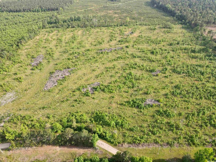 Take a drive down a quiet county road in far southwest Arkansas and you'll find an approximately 2-3 year pine plantation sitting on 40+- acres.   It's the perfect place to build your dream home then sit back and watch your investment grow - beautiful pines should be towering around in a few short years!  Drive out soon - do not miss out on this opportunity! Access to high speed internet and electric!