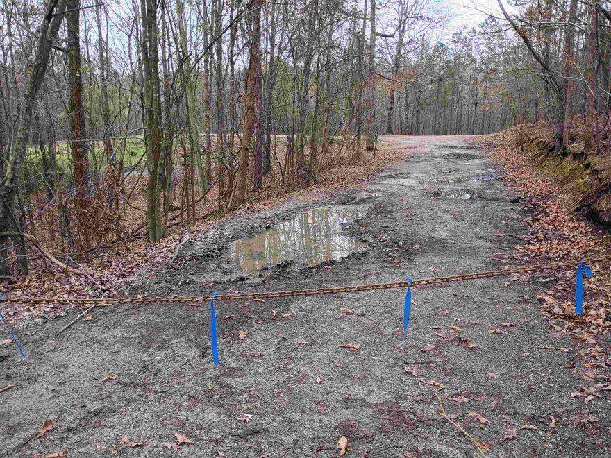 If you're searching for acreage near Hot Springs with no restrictions, this property deserves a look.  This 10-acre wooded property offers privacy, space, and flexibility just outside the city. The land is mostly wooded with a cleared area already suitable for a home, cabin, or mobile home, making it a great option for buyers wanting to build or set up a private getaway.  Located in the Fountain Lake School District, the property is just minutes from Hot Springs Village and roughly 20 minutes from downtown Hot Springs, giving you convenient access to shopping, dining, Oaklawn, and local attractions.  The property is also convenient to both Lake Ouachita and Lake Hamilton, making it easy to spend a day on the water without traveling far from home.  Whether you're looking for land to build on, a recreational property, or acreage near Hot Springs with room to spread out, this property offers a great combination of location, privacy, and freedom to use the land your way.