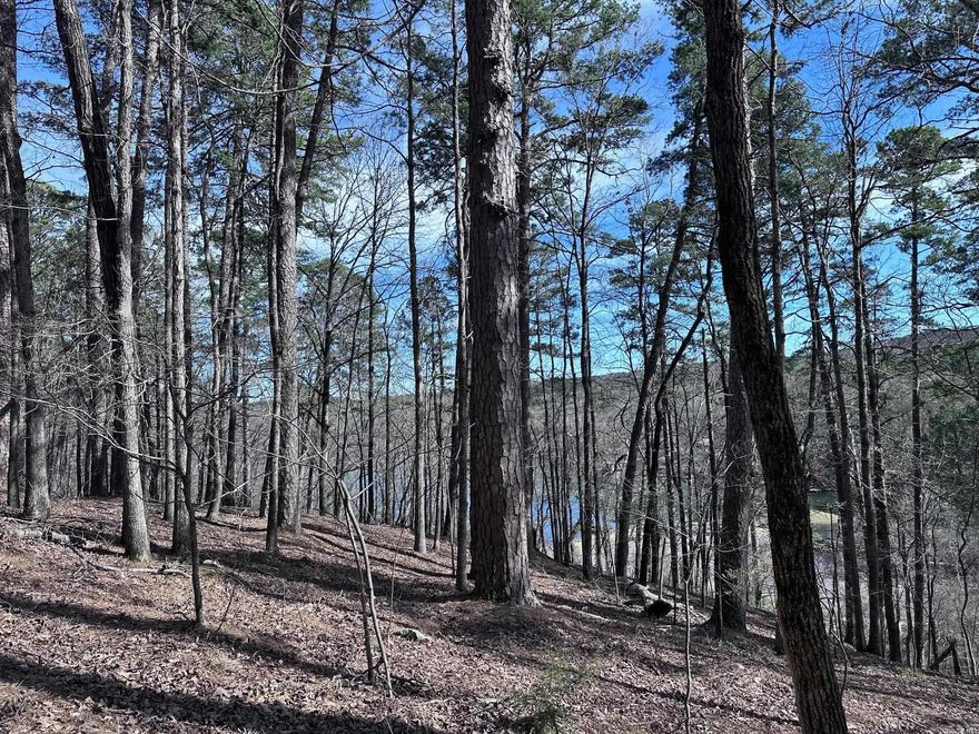 Prime Lot in Desirable Lake Cortez Subdivision Near HSV Amenities!  Discover the perfect setting to build your dream home in this beautiful subdivision, featuring winter views of Lake Cortez from your future deck. This spacious lot offers a peaceful, natural backdrop while keeping you close to everything Hot Springs Village has to offer.  Enjoy easy access to multiple lakes, championship golf courses, pickleball and tennis courts, fitness centers, swimming pools, walking trails, marinas, and boat launches. The Coronado Fitness Center, dining, and a variety of clubs and community activities are all just minutes away.  Don’t miss this opportunity to own a prime piece of real estate in Hot Springs Village—where natural beauty meets an active lifestyle. Contact us today for more details!