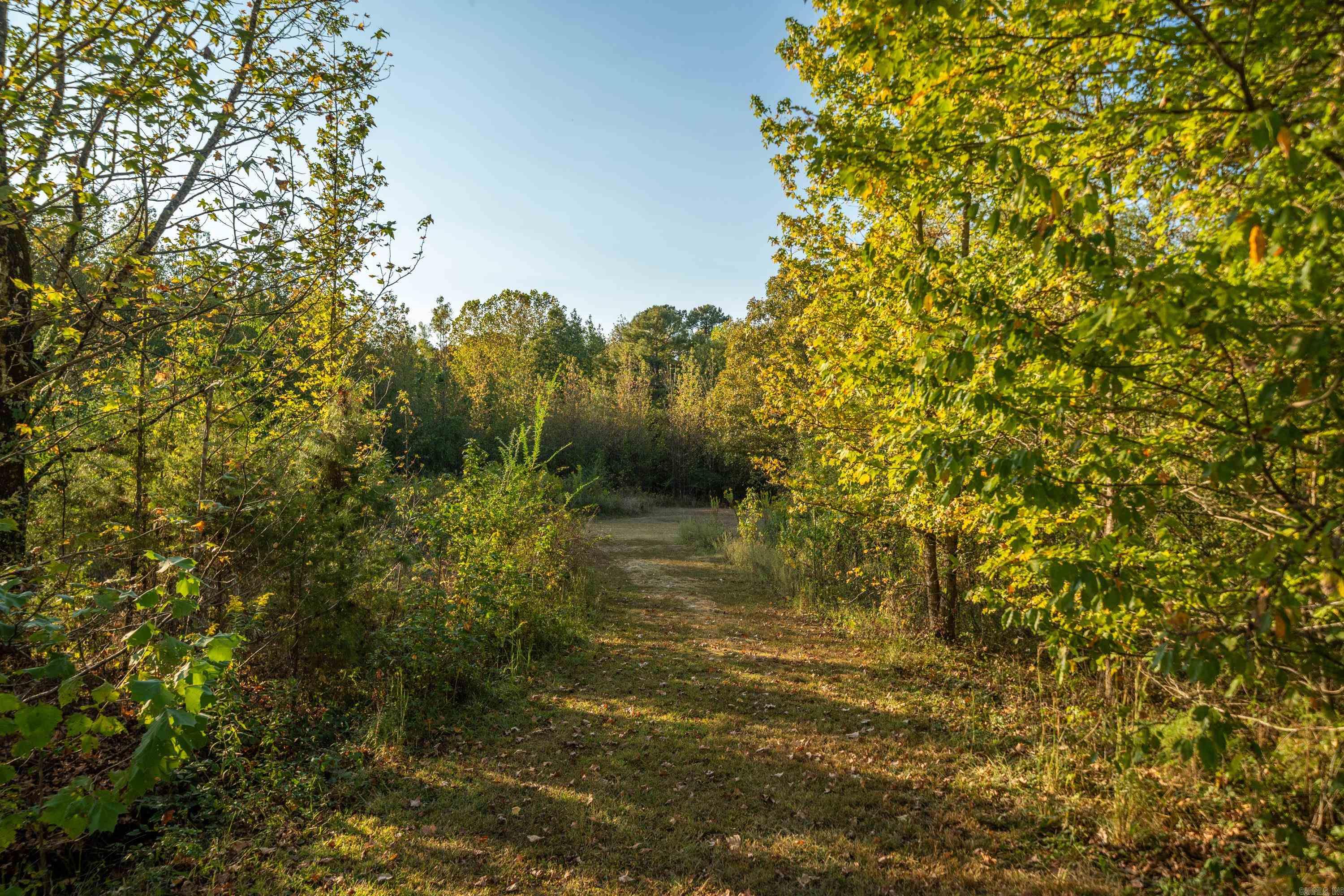 MOUNT IDA CITY ACREAGE - Residential