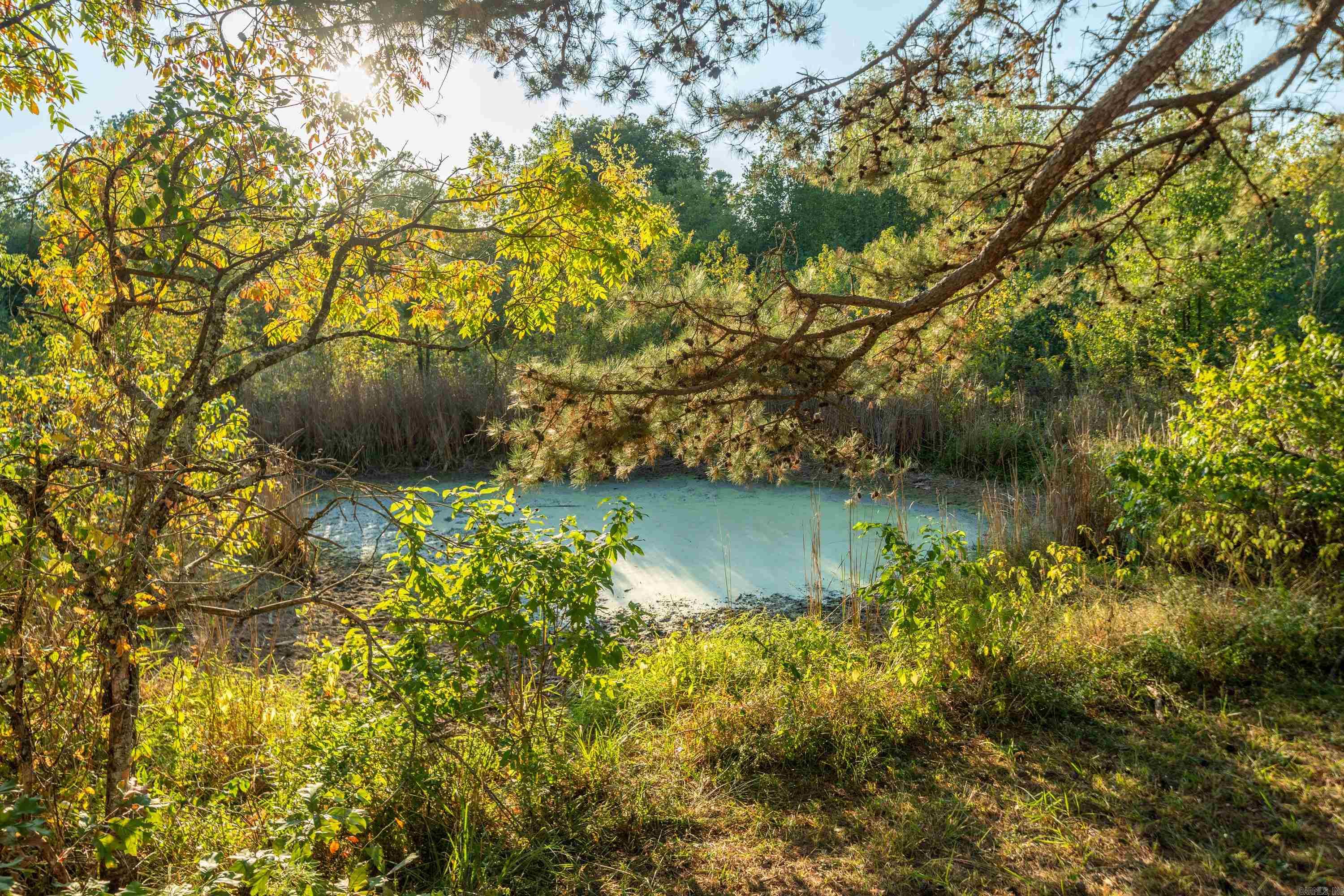 MOUNT IDA CITY ACREAGE - Residential