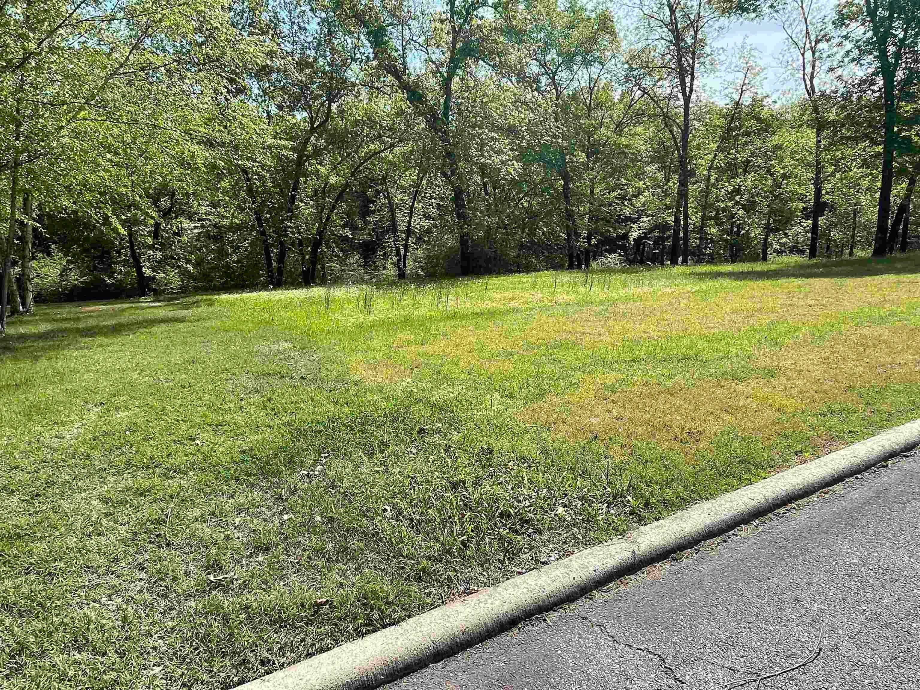 17 Brighton Pointe Ln, Heber Springs, AR 72543