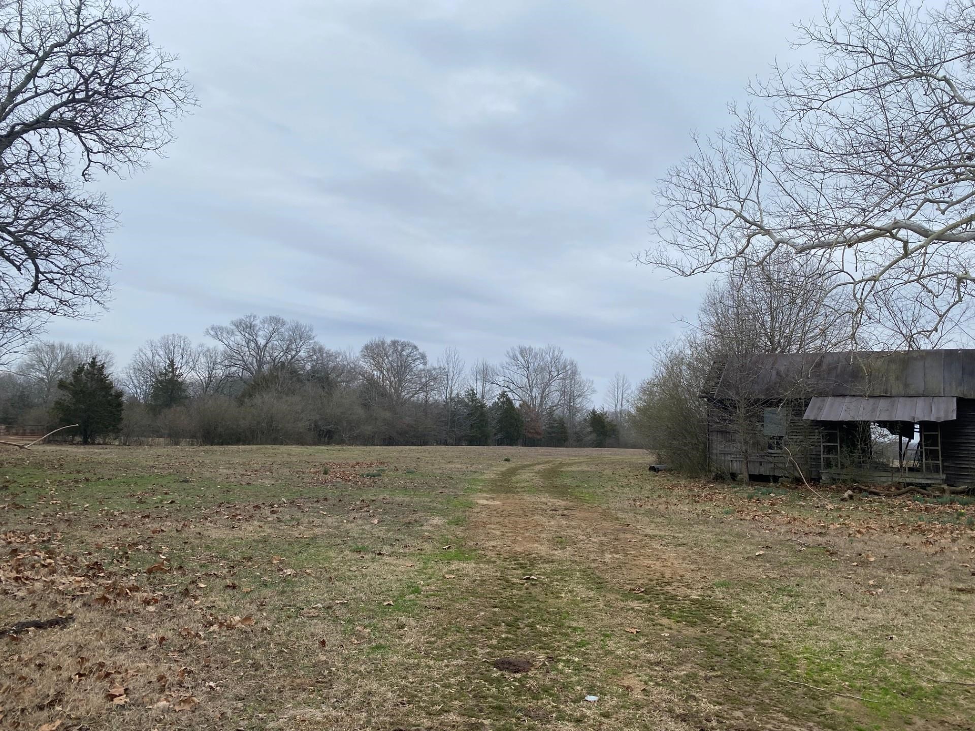 Posted, fenced/shared fencing/cattle on site. Status of road, county maintenance to be verified.