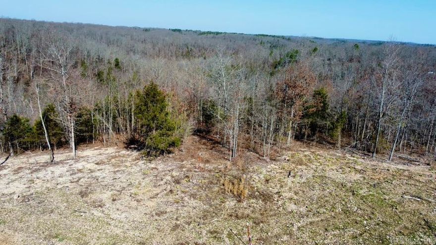 This 19.40-acre property in Mountain View, AR offers the perfect combination of privacy and convenience, just minutes from downtown and within walking distance to the Ozark Folk Center State Park. With no building restrictions, you have the freedom to develop the land as you choose, whether for a home, cabin, or recreational retreat. City water and electric are available at the property, making it easy to build or set up utilities. The land features a small spring and a wet weather creek known as White Water Creek, with acreage on both sides, creating an ideal setting for hunting, camping, or outdoor enjoyment. A cleared area is already in place for a potential home site, giving you a head start on construction. Whether you’re looking for an investment, a getaway, or a forever home, this property provides endless possibilities in the heart of the Ozarks.