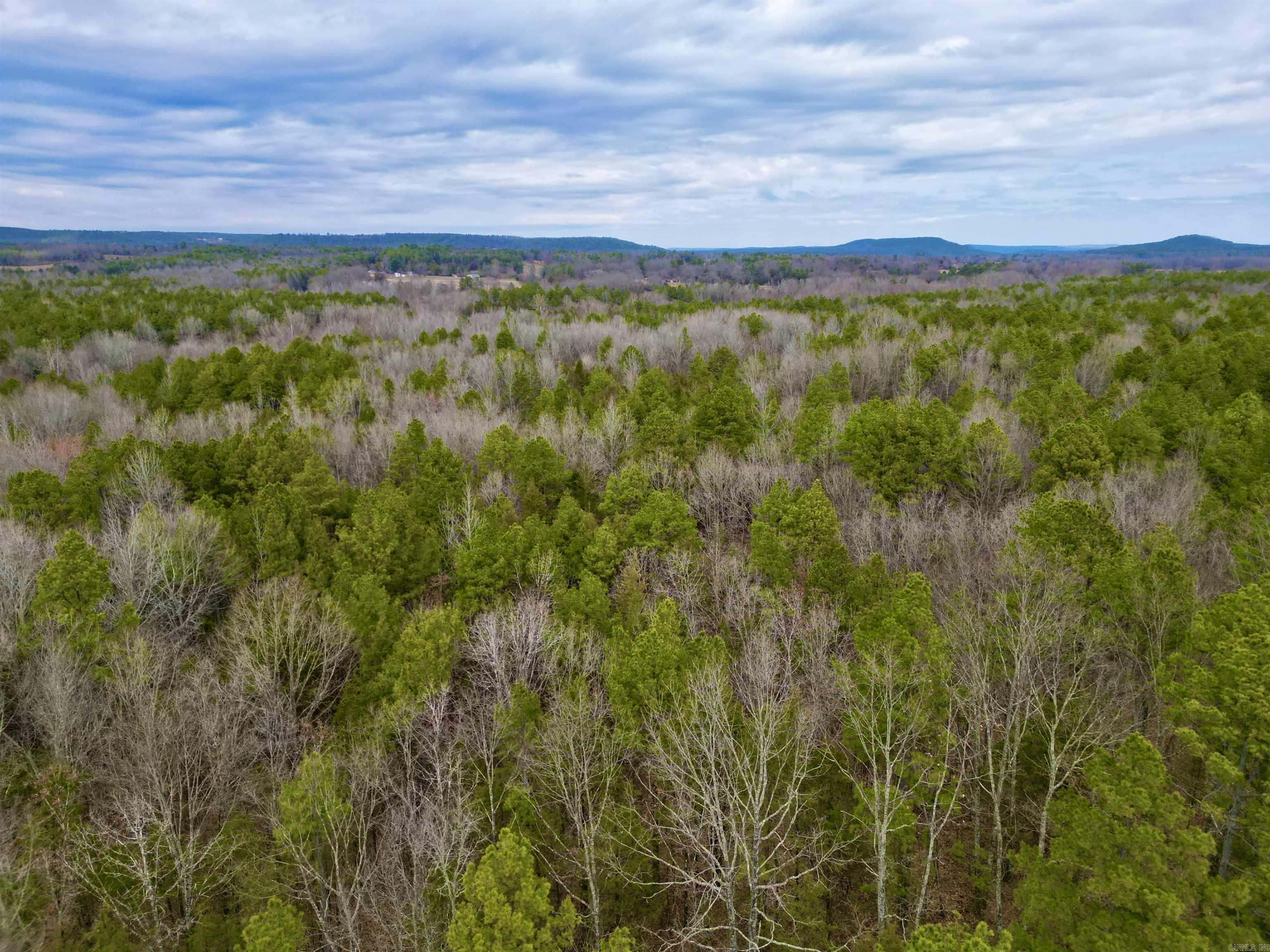 Almost 21 acres of mixed woods with streams and plentiful deer and turkey habitat. 4 wheeler trails traverse the property making it easy to navigate. Power is located on property.