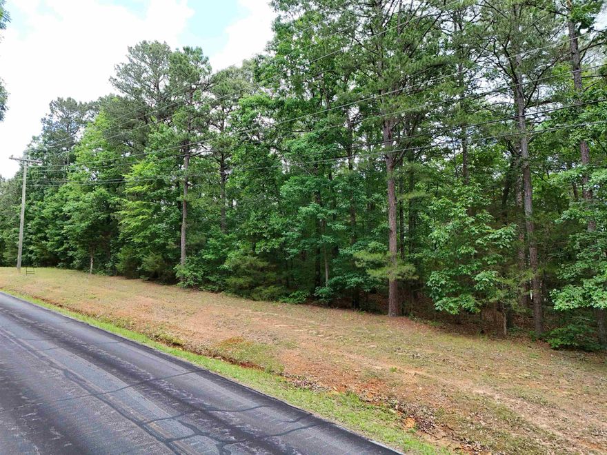 Build your dream getaway in the Hamilton Hills subdivision of Fairfield Bay! This lot on Dave Creek Parkway offers an excellent location just across the street from the condo community and only a short walk to beautiful Greers Ferry Lake. Enjoy the peaceful setting, lake atmosphere, and easy access to boating, fishing, hiking, golf, and all the amenities Fairfield Bay has to offer. Agents See Remarks