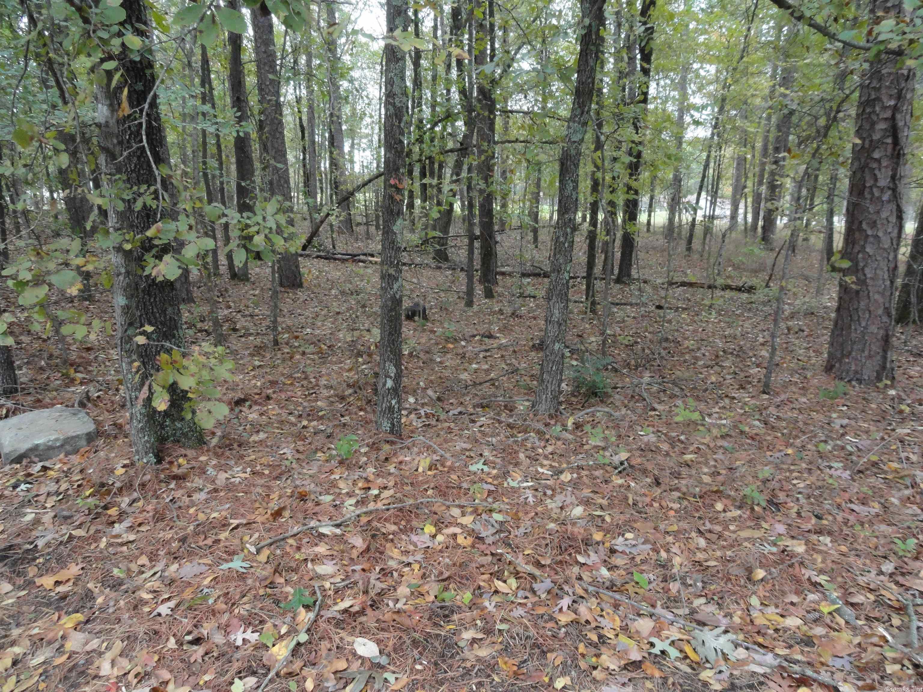 Indian Hills - Land