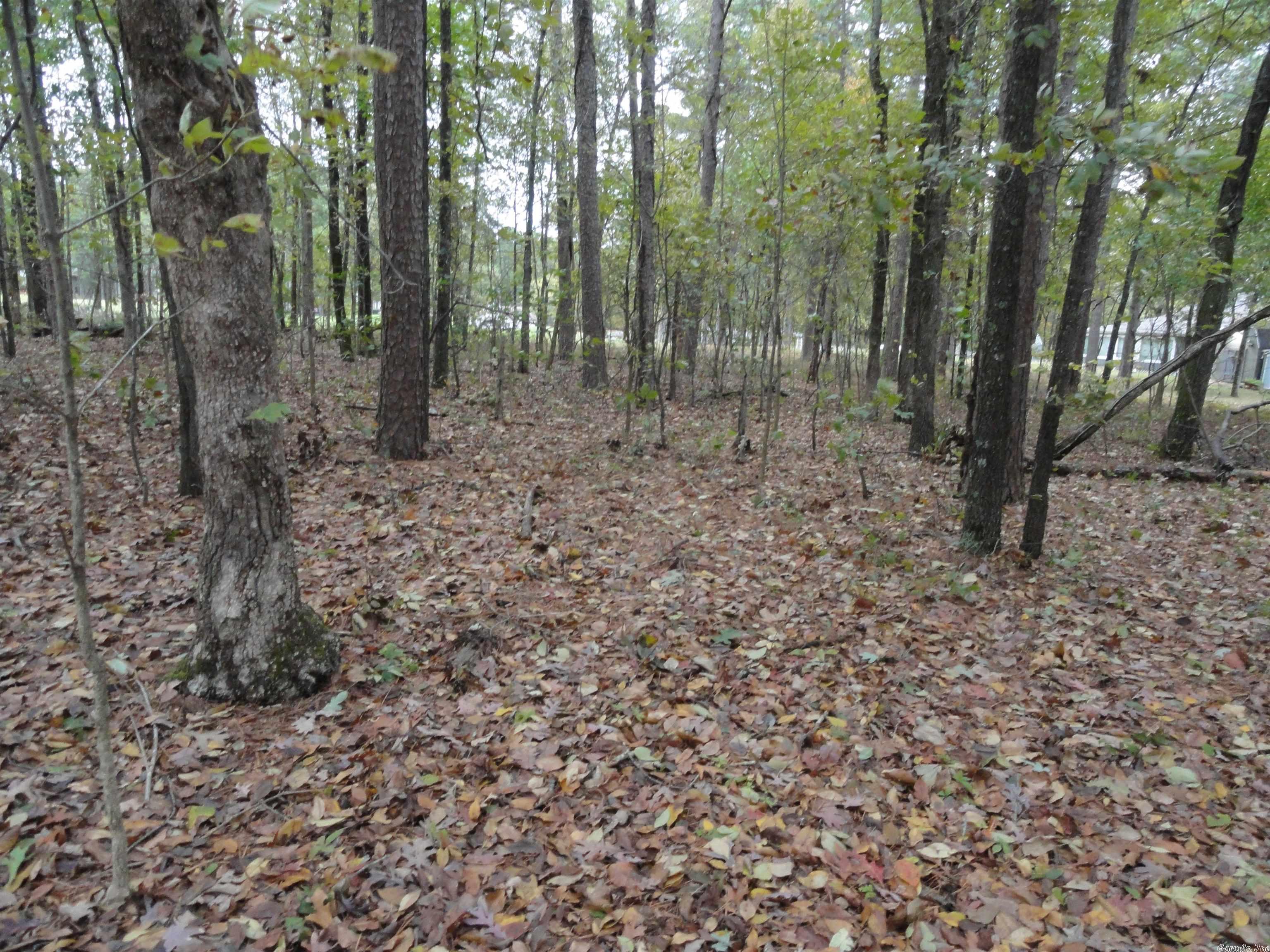 Indian Hills - Land