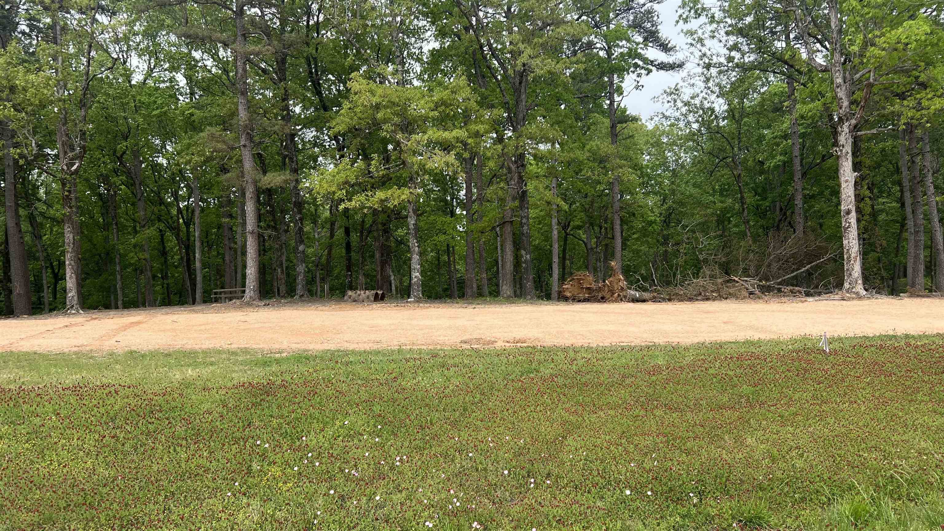 Build your dream home across from Crowley’s Ridge College on Hwy 412 in Paragould! This beautiful parcel offers the perfect blend of convenience and country charm, with quick access to the bypass for an easy commute. Western Greene County Water and Craighead Electric are available, making it even easier to bring your vision to life. Whether you envision a spacious estate or a peaceful retreat, this land provides the ideal canvas for your future plans. A Bill of Assurance will apply to protect the integrity and value of your investment. Don’t miss this opportunity to create the home you’ve always wanted in a growing, sought-after location!