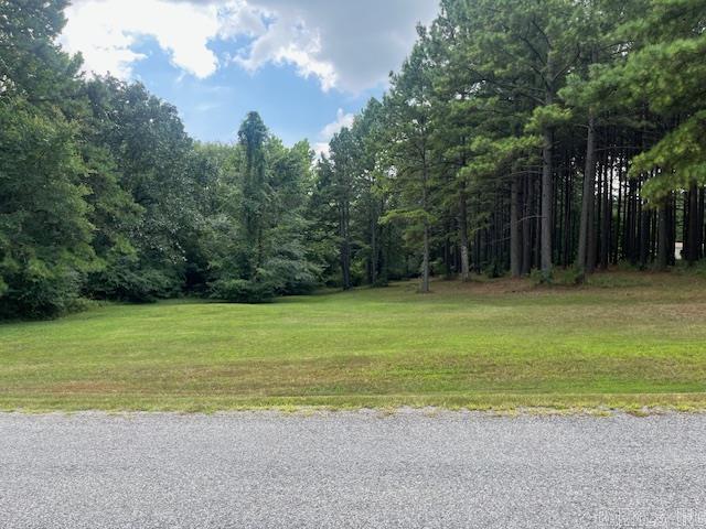 Whether you are looking for a full time residence, a weekend escape, or just to invest, this lot is ready for you. Surrounded by so much natural beauty, this property offers the perfect blend of rural tranquility and modern convenience, with all utilities easily accessible. Highway 65 is just minutes away. Don't miss out on this wonderful opportunity!!