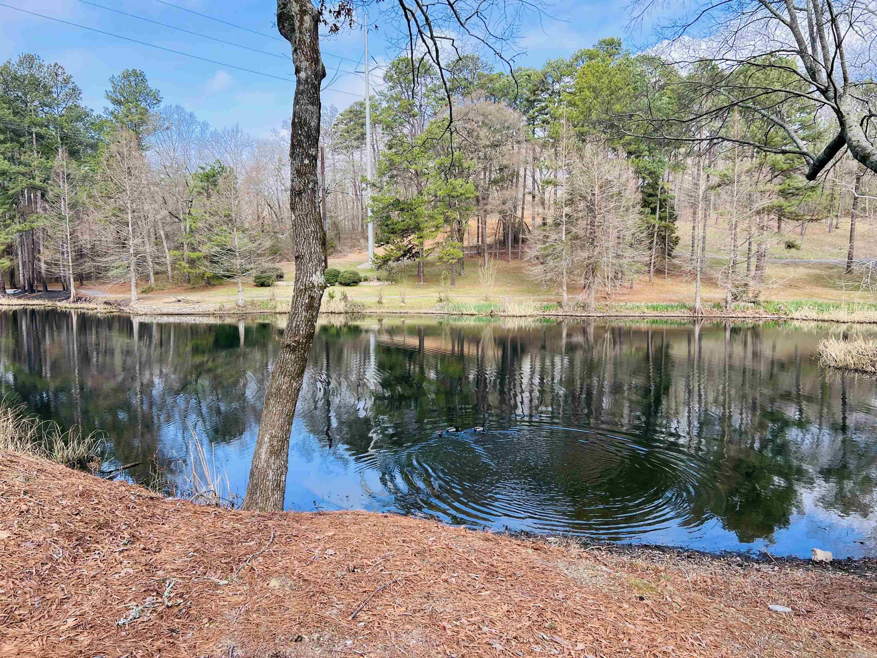 LOTUS VALLEY - Residential