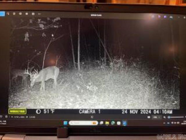 Shannon Estates - Land