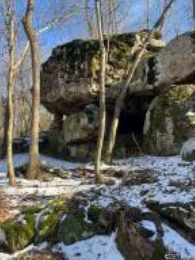 Shannon Estates - Land