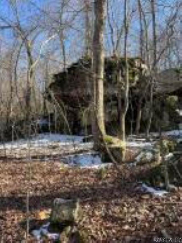 Shannon Estates - Land