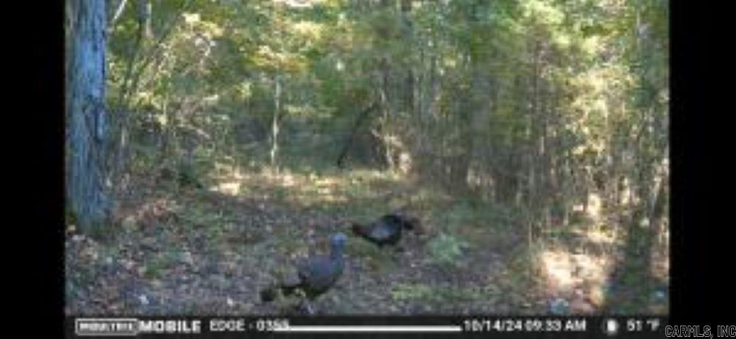 Shannon Estates - Land