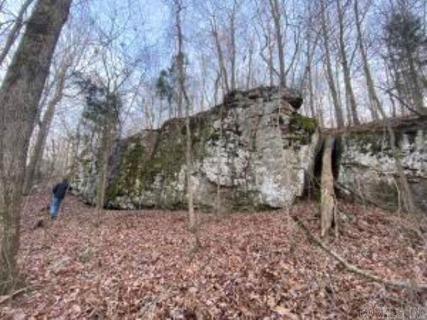 Incredible chance that will not last! 40.45 acres of land 5 miles from Southside School with good access tucked into the wildlife sanctuary of Hutchison Mountain in the Ozark Mountain range! In the photos provided by the owner, you will see Whitetail deer and turkey as well as incredible rock formations. Power is already available for that cabin you've wanted and trails are in place to explore! Access by deeded easement is off Cool Mist Lane on Whiskey Creek Lane. The ability to have quick access to escape the demands of the world make this a great find!