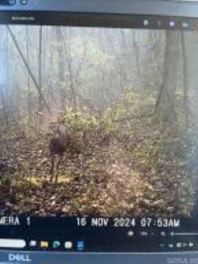 Shannon Estates - Land