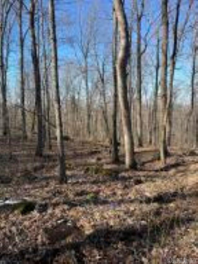 Shannon Estates - Land