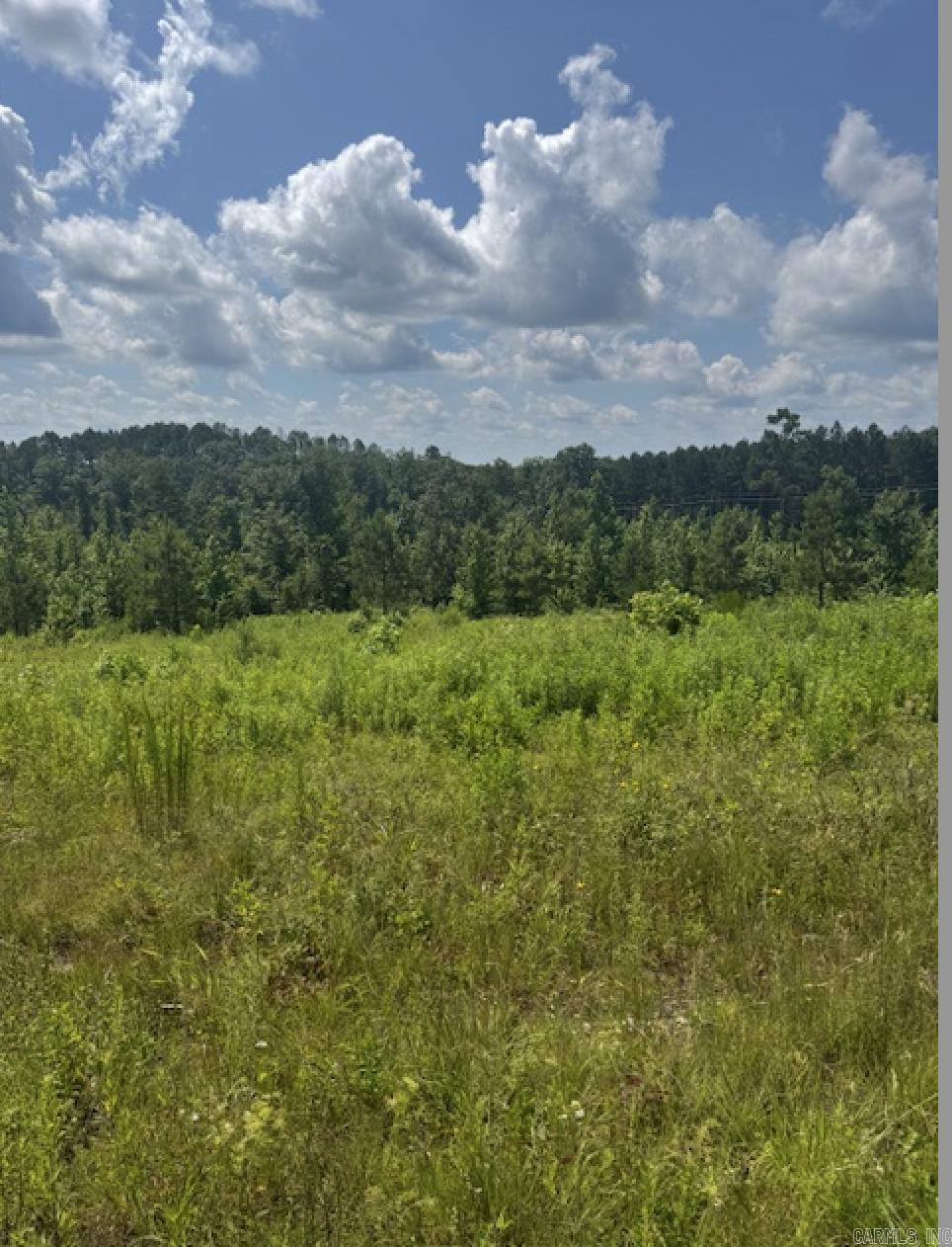 Here is your opportunity to build in the beautiful area of Kentucky Hills! This subdivision is in the perfect location of Benton....rural enough for peace & quiet, yet just minutes from town. This 2.99 acre Lot has been perc tested and already filed with the state health department. It also has water & electric utilities. Minimum build requirements include at least 2200 sqft. See Bill of Assurances.