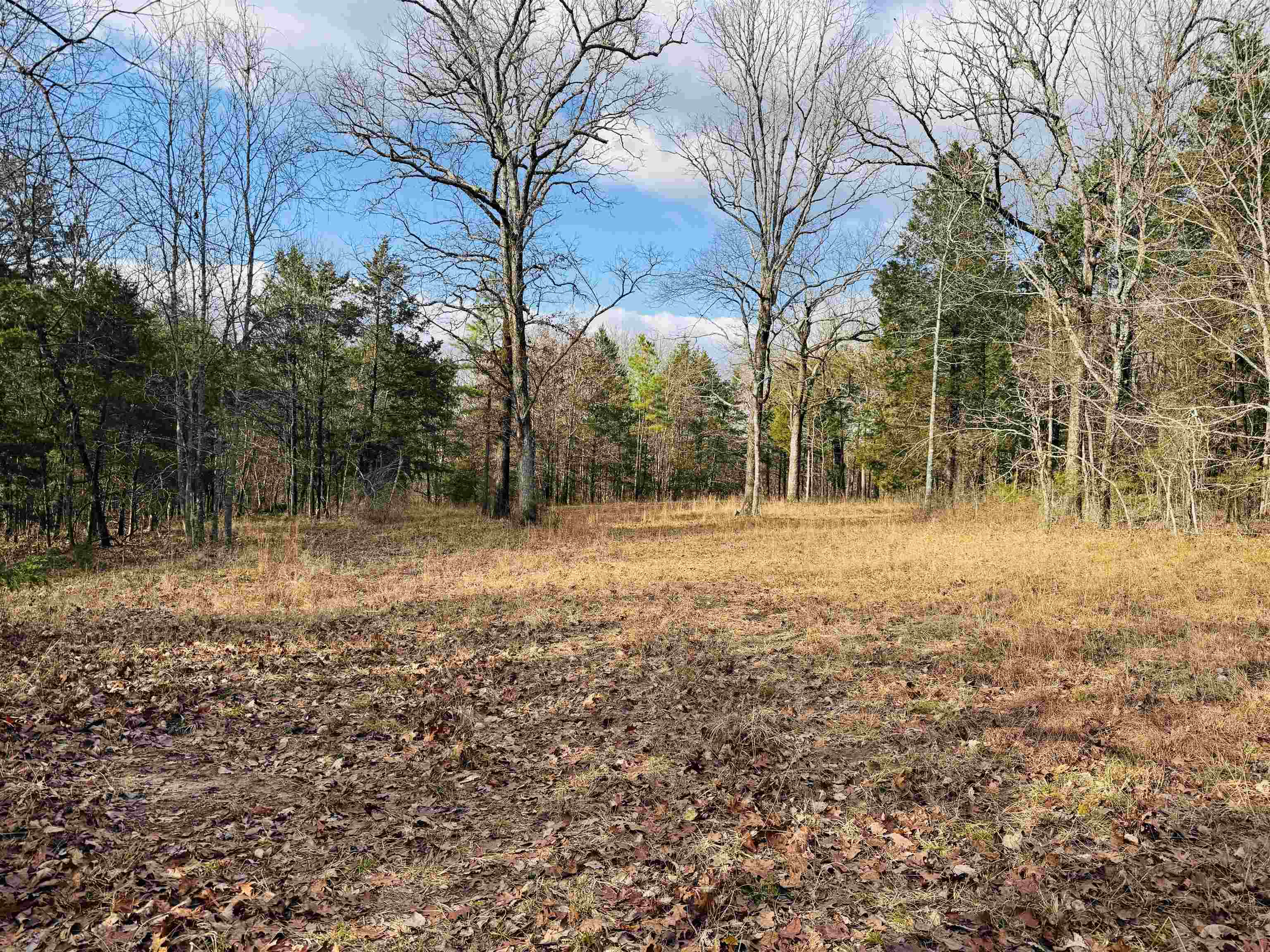 Check out this prime 40-acres of hunting land on Boswell Road in Mount Olive, AR. With access to deer, bear, and even turkeys, this property is the perfect canvas for all your outdoor adventures. This property also has several open food plots and an extensive trail system for easy access. The wet-weather creek and large spring enhance the landās natural beauty while offering vital water sources for wildlife. There is an easement to get into the property as well. Donāt miss this chance to own your slice of Arkansas wilderness and give us a call today!