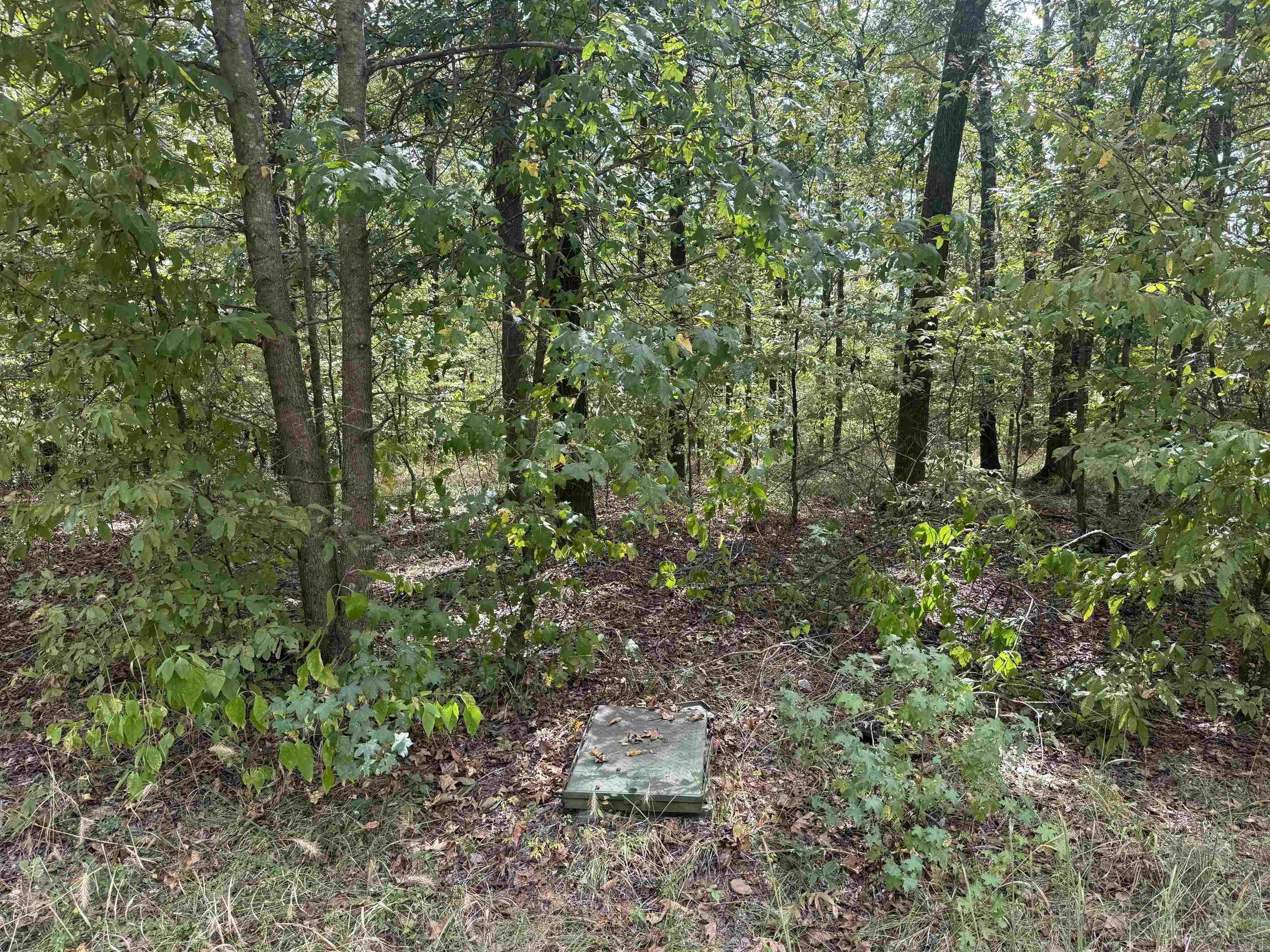 River Oaks - Land