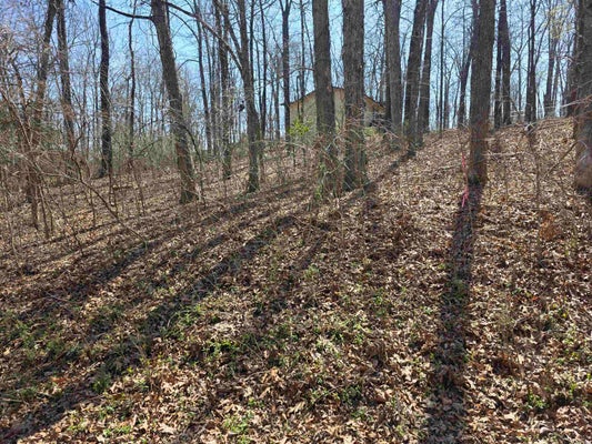 POWHATAN DR, CHEROKEE VILLAGE, AR 72529 - Image f8042ef042b4b47bac84301b7bbdb4c8/3594634623