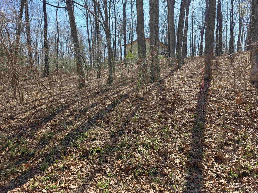 Nice lot with a gentle front to back upward slope. This lot sits up high above the road. Lots of trees and lots of nature and wildlife. Come check this lot out, check out the view and see where you want to put your vacation home or your forever home. Retire here and fish 7 different lakes and golf 2 different 18-hole golf courses. Don't forget about the beautiful South Fork River that flows right through the Village. Shop in Old Hardy town and trout fish the Spring River. That's living the Cherokee Village lifestyle.