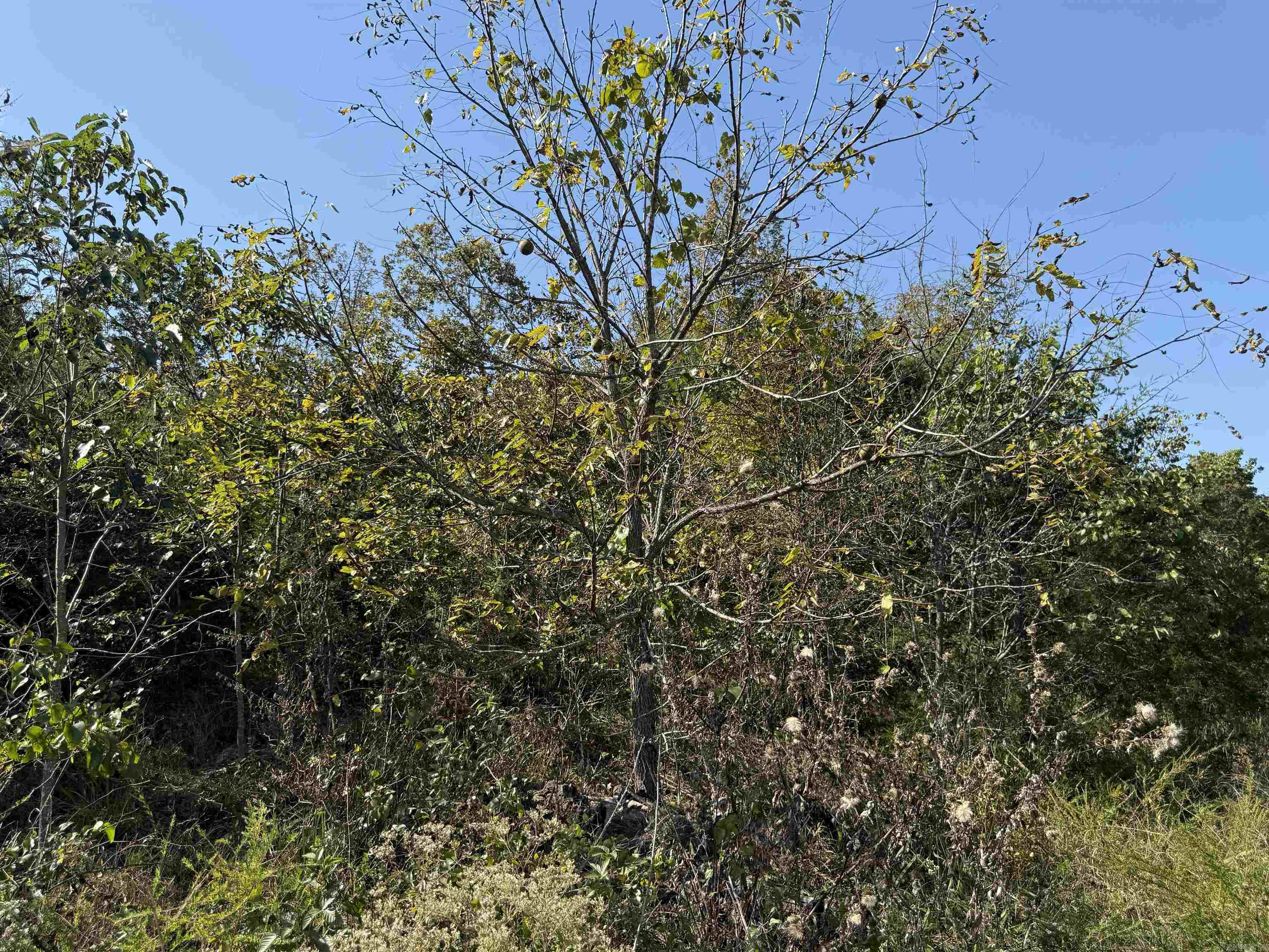 Country View Homesites - Land